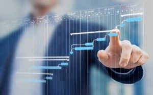 Management Consulting Services